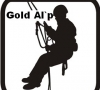 GOLDALP, компания промышленного альпинизма