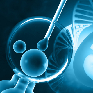 Консультация медицинского юриста по процедуре экстракорпорального оплодотворения (ЭКО)