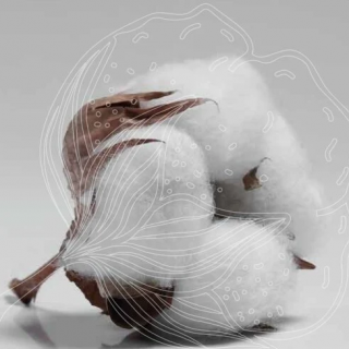 Скидка на первый заказ!